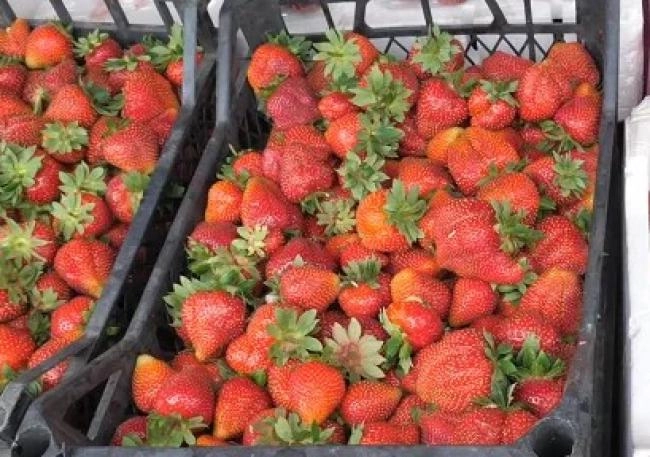 96957270358f36773bee252045b64e61e4c95547