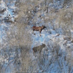 5f06264d48ea674a2b0da16f190c1c2b