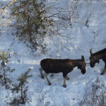 728e309be65d03090fdcddeb9ac3d069