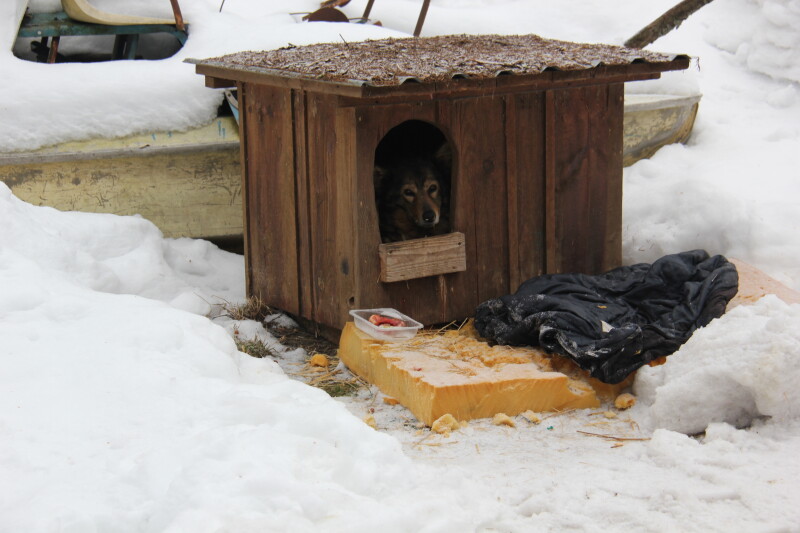 b672gr-0x-1-3456x2304-7pyws2ziqofigmev5foospjalxvuhc7v