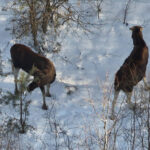 bc33e727ccf0c02dcbfc5e8ddec3c927