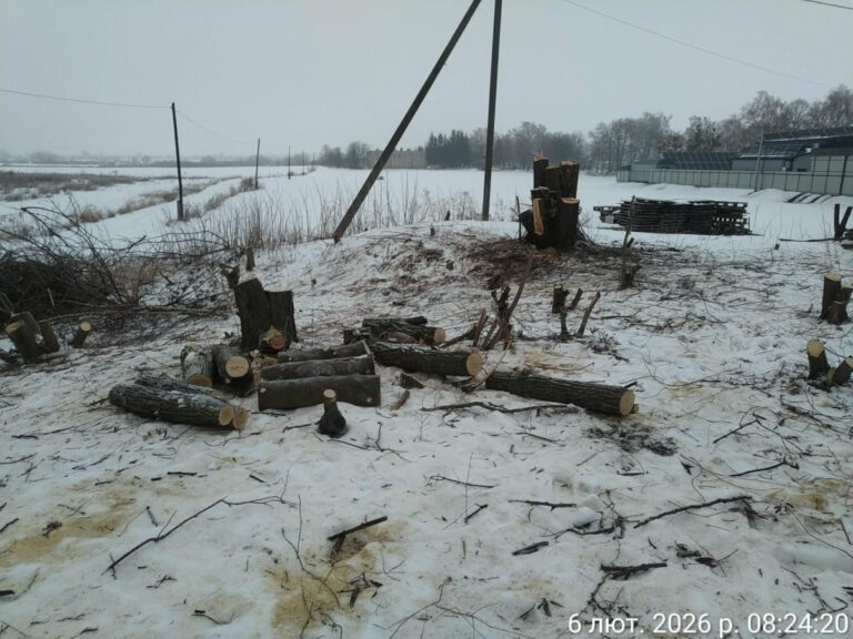 post_image_177041109777