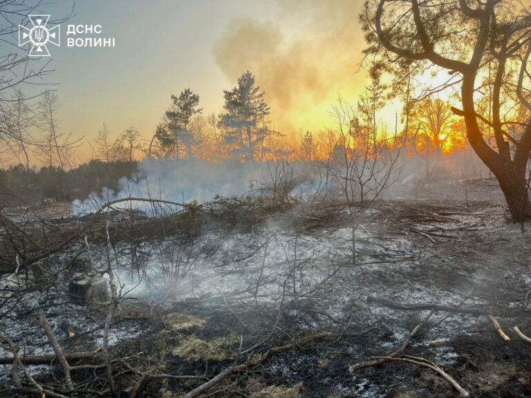 649854964_1391477466357756_4874940033128981503_n