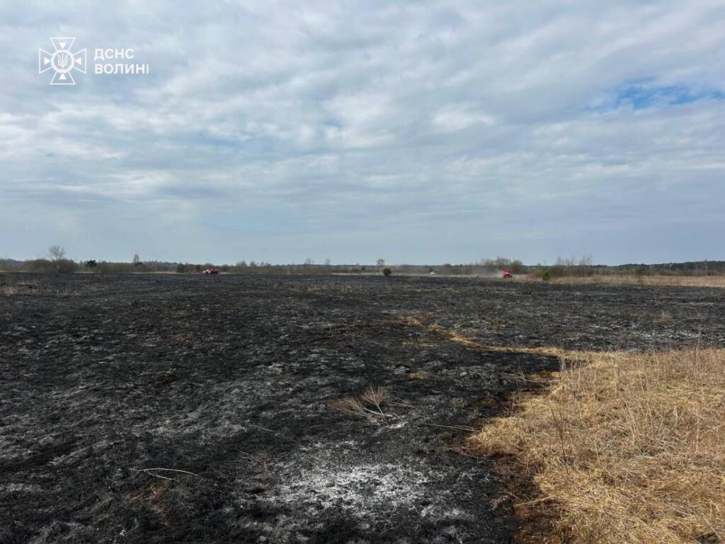 c2f1a1f18fe30684de7b944b674e39796567e365-jpg_1200