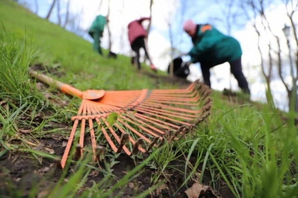 51825f98b13b474cabfeacf5a0dba28fhwaiefogm9qkncj_image