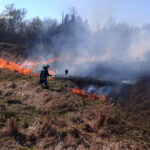 660456000_1412150610957108_4477592434436734514_n