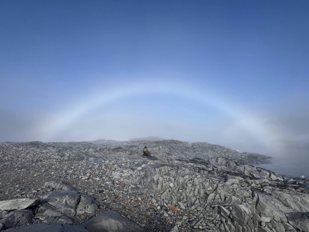 666869126_1349777060519047_5796717703454418037_n