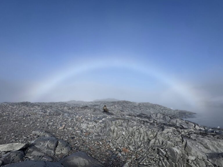 666869126_1349777060519047_5796717703454418037_n