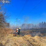 667220088_1412150534290449_8763959309737633937_n