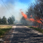 667250078_1412150537623782_2021774310856401486_n