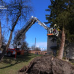 668565977_1412916097547226_5261573120380597898_n