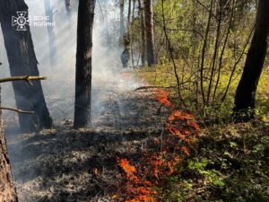 678922994_1426167436222092_4289039176633794151_n