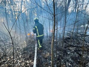 679964344_1426167369555432_2565955647361716283_n