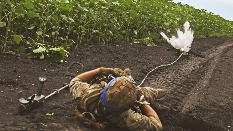 mllru2---c16x9x50px50p-wt--63bdb7356c1f2c0815bb17513a85fbc0