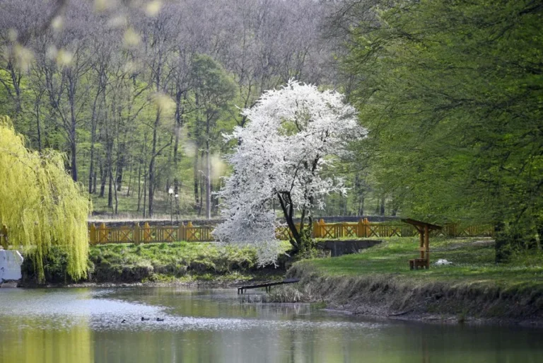 volynska-shvejczariya