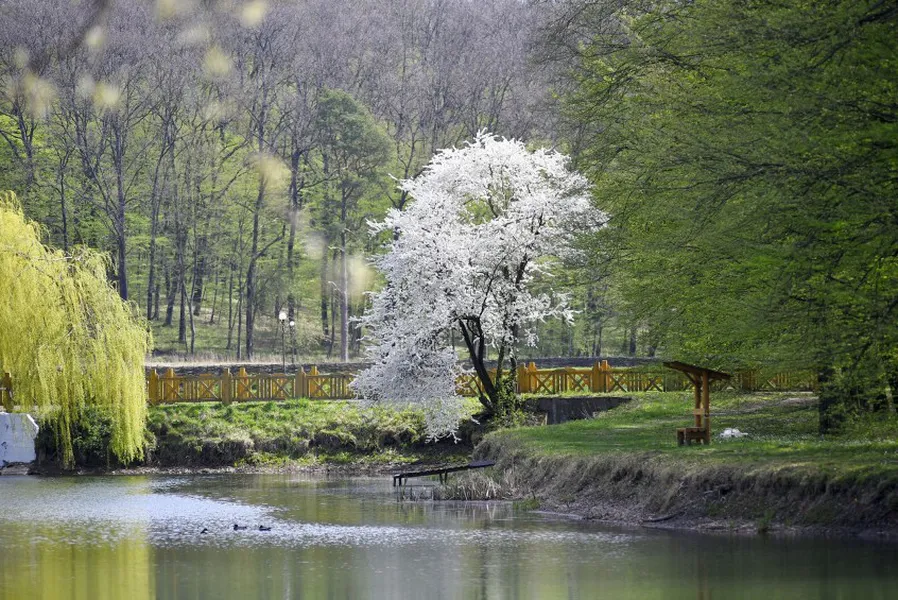 volynska-shvejczariya