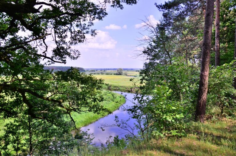 Horynski-krutoskhyly-Foto-Oleksandr-Kukshyn