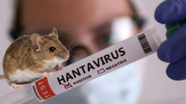 hantavirus